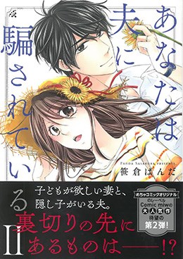 あなたは夫に騙されている Ⅱ