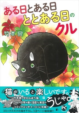 ある日とある日ととある日のクル