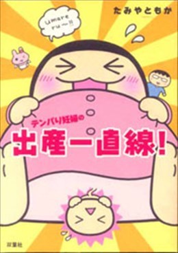 テンパり妊婦の出産一直線!