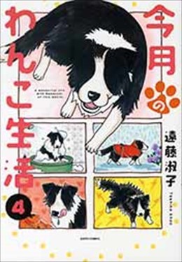 今月のわんこ生活４