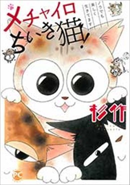 メチャイロちいき猫!
