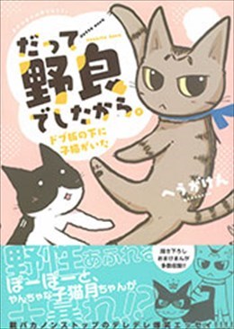 だって野良でしたから。ドブ板の下に子猫がいた