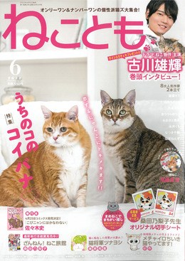 ねことも2022年6月号