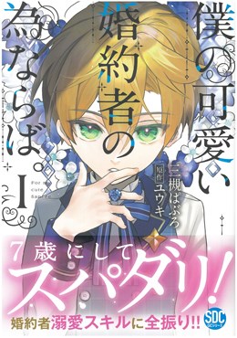 僕の可愛い婚約者の為ならば。Ⅰ