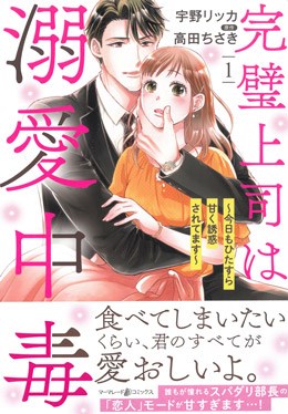 完璧上司は溺愛中毒～今日もひたすら甘く誘惑されてます～