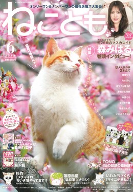 ねことも 2023年6月号