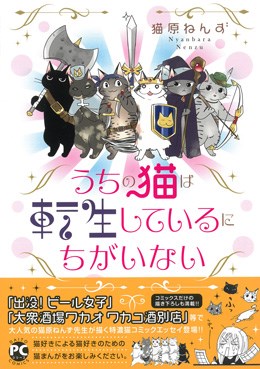 うちの猫は転生しているにちがいない