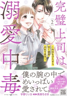 完璧上司は溺愛中毒～今日もひたすら甘く誘惑されてます～2