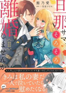 旦那サマ、そろそろ離婚しませんか？Ⅱ