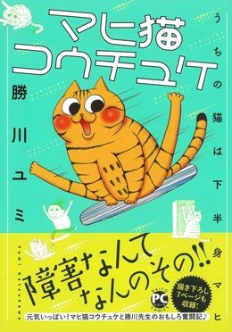 マヒ猫コウチュケ うちの猫は下半身マヒ