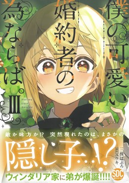 僕の可愛い婚約者の為ならば。Ⅲ