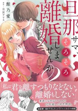 旦那サマ、そろそろ離婚しませんか？Ⅲ