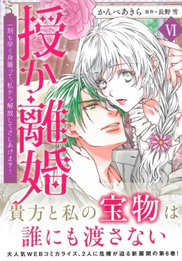 授か離婚Ⅵ～一刻も早く身籠って、私から解放してさしあげます!