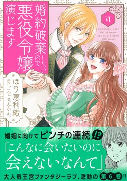 婚約破棄したいので悪役令嬢演じますⅥ