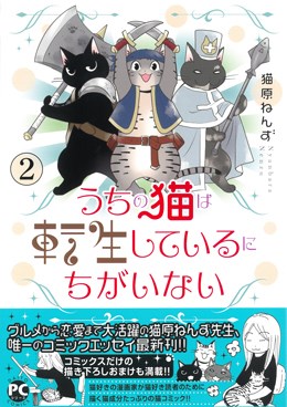 うちの猫は転生しているにちがいない2