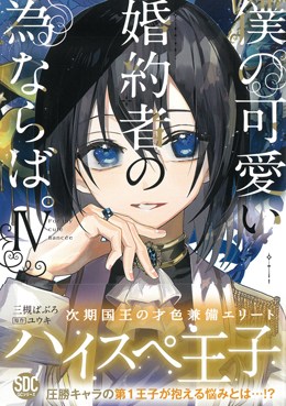 僕の可愛い婚約者の為ならば。Ⅳ