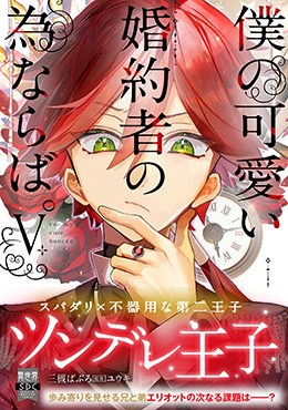 僕の可愛い婚約者の為ならば。Ⅴ