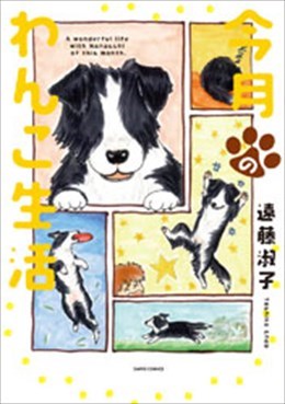 今月のわんこ生活