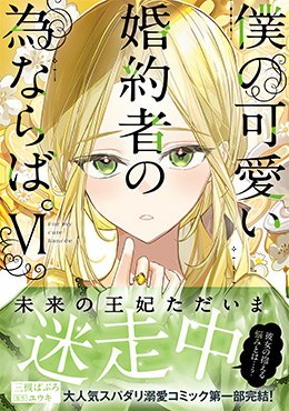 僕の可愛い婚約者の為ならば。Ⅵ