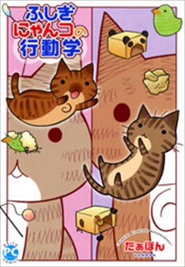 ふしぎにゃんコの行動学