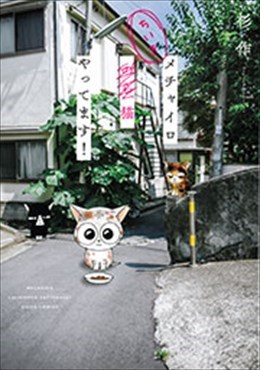 メチャイロちいき猫やってます!