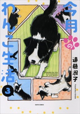 今月のわんこ生活 3