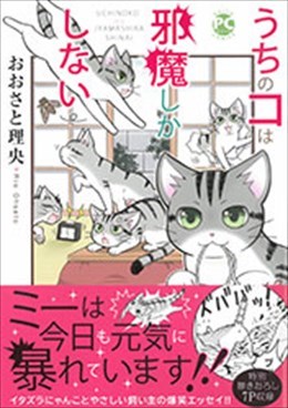 うちのコは邪魔しかしない