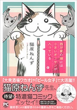 我が家の猫には小さいオッサンが入っている