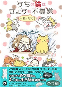 うちの猫はきょうも不機嫌…私にだけ!