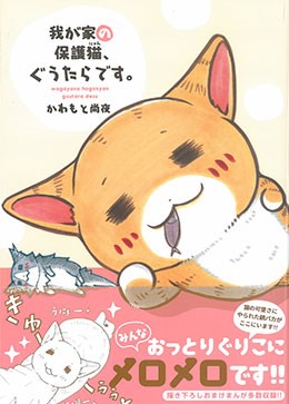 我が家の保護猫、ぐうたらです。