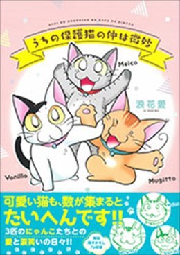 うちの保護猫の仲は微妙