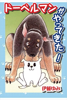 ドーベルマンがやってきた!