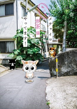 メチャイロちいき猫やってます！1