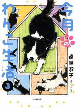 今月のわんこ生活3