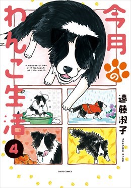 今月のわんこ生活4