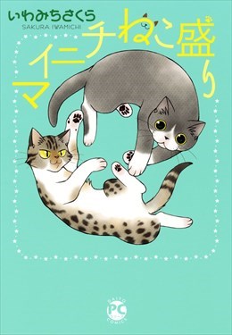 マイニチねこ盛り1