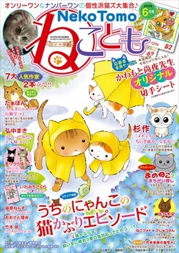 ねこともVol.55