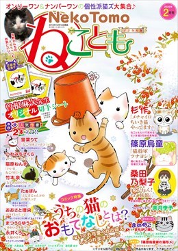ねこともVol.65