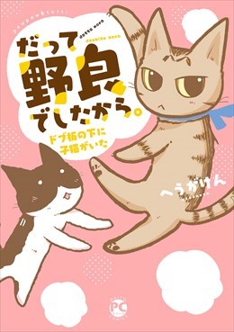 だって野良でしたから。　ドブ板の下に子猫がいた