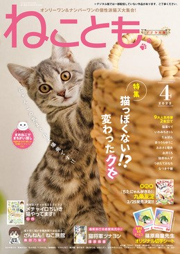 ねことも Vol.78