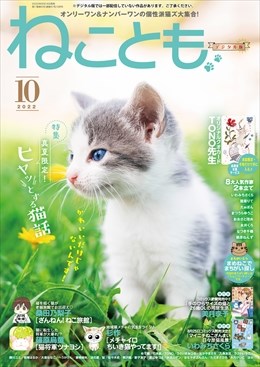 ねことも Vol.81