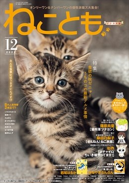 ねことも Vol.82