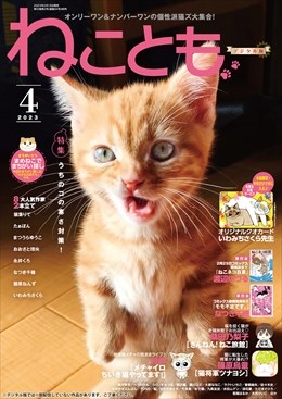 ねことも Vol.84