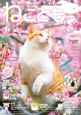 ねことも Vol.85