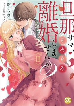 旦那サマ、そろそろ離婚しませんか？【単行本版】【電子限定特典付き】3