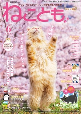 ねことも Vol.91