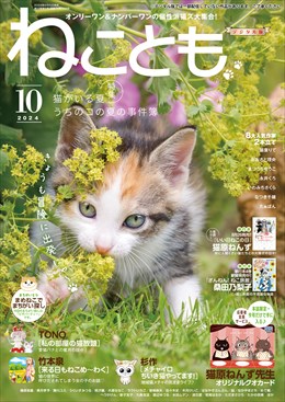 ねことも Vol.93